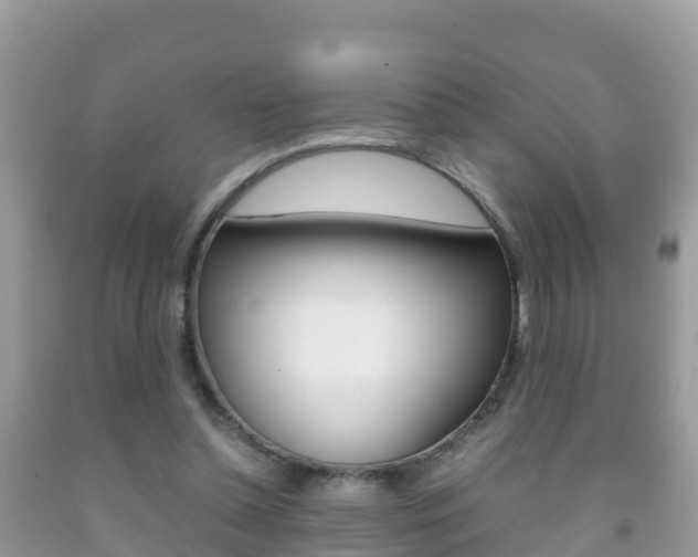 X0000092220348200709140926
