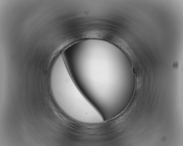 X0000092220349200709140926