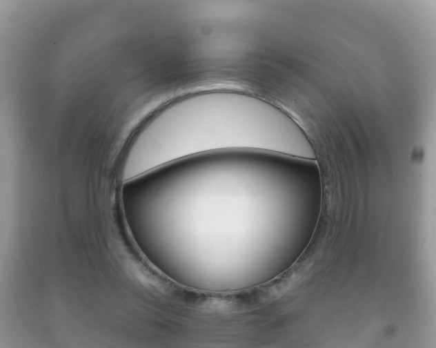 X0000092220350200709140926