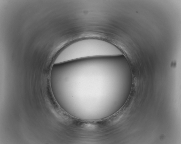 X0000092220352200709140926