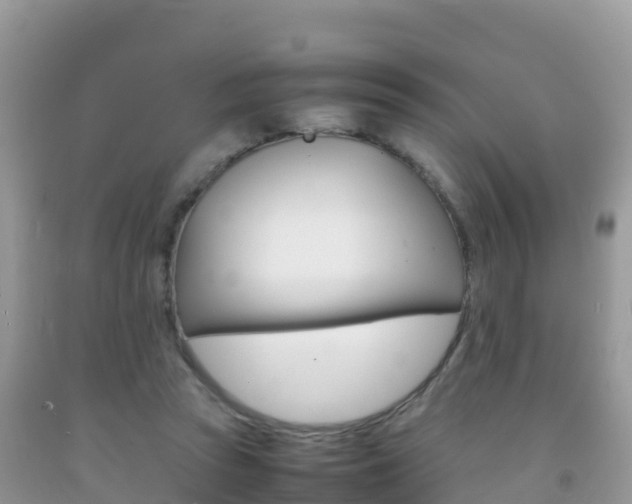 X0000092220353200709140926