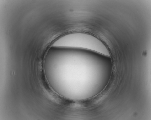 X0000092220356200709140926