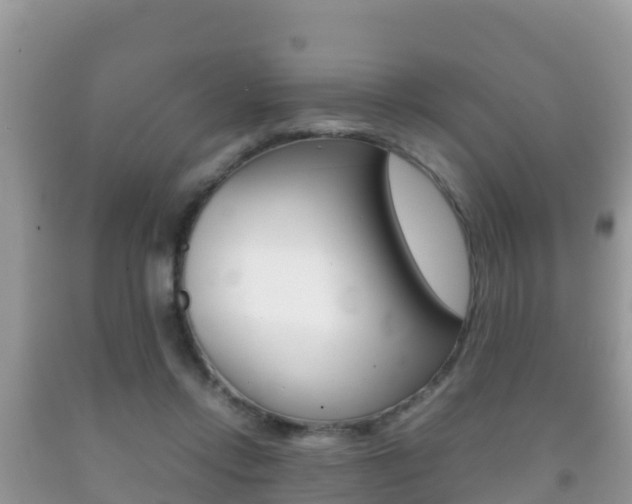 X0000092220358200709140926