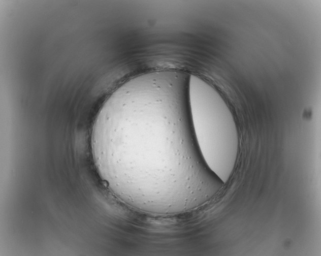 X0000092220359200709140926