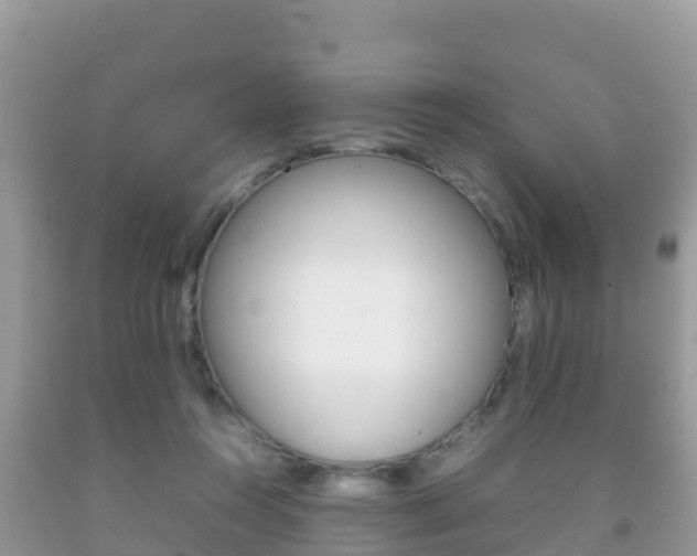 X0000092220360200709140926