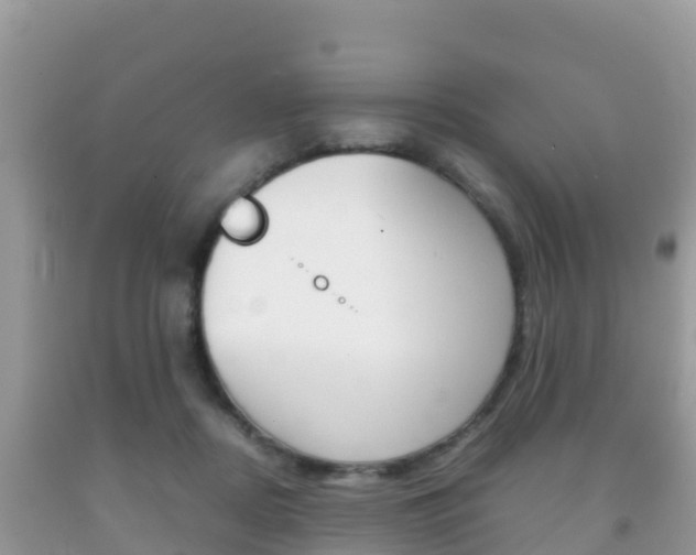 X0000092220362200709140926
