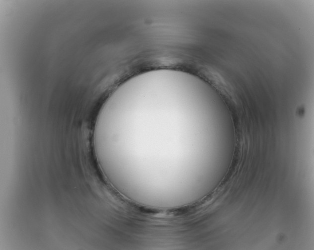 X0000092220366200709140926