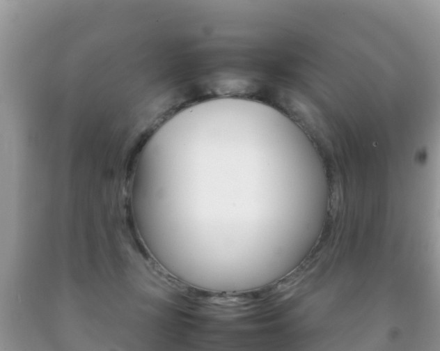 X0000092220367200709140926