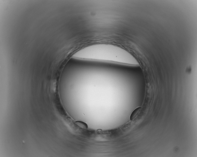 X0000092220368200709140926