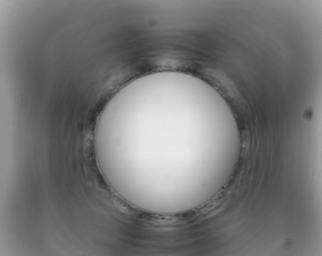 X0000092220369200709140926