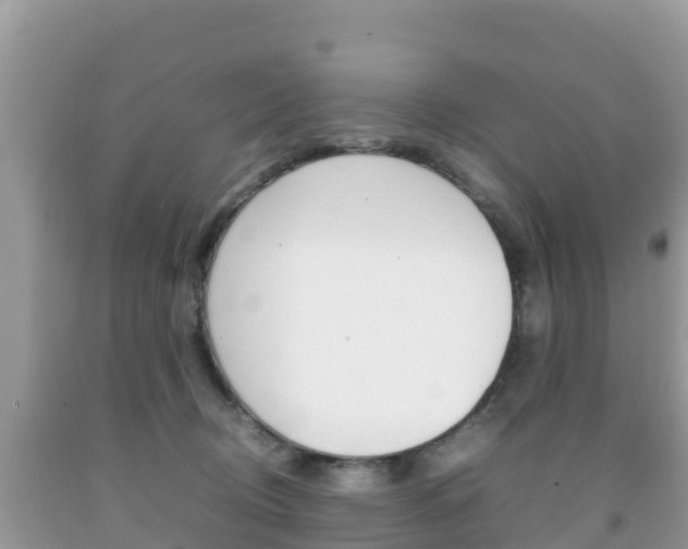 X0000092220370200709140926