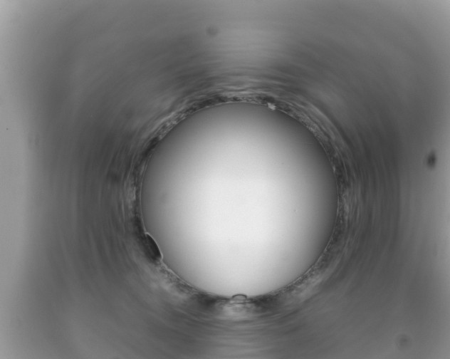 X0000092220372200709140926