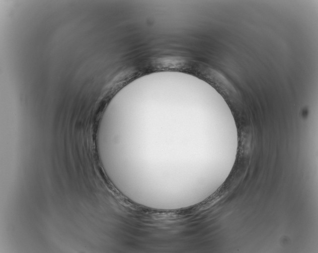 X0000092220377200709140926