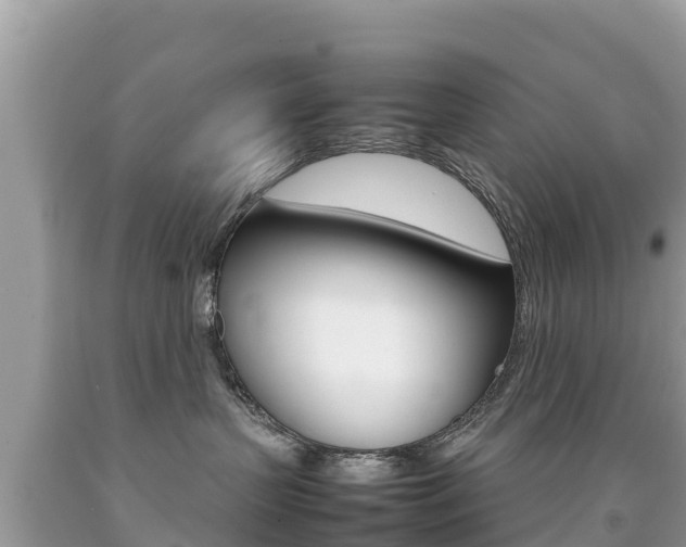 X0000092220383200709140926
