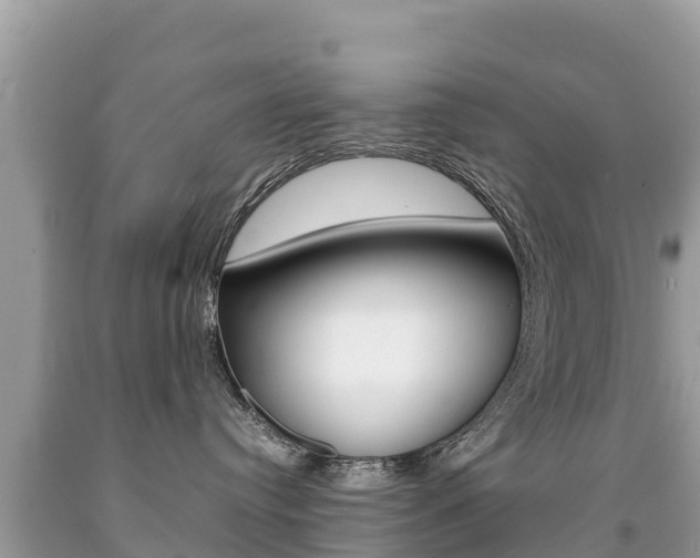 X0000092220384200709140926