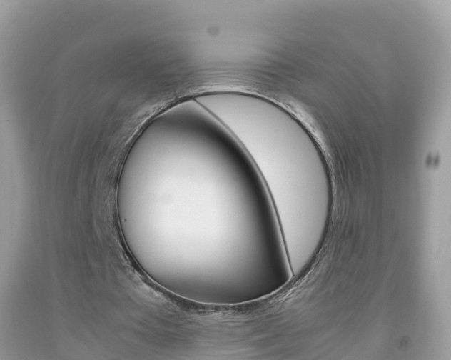 X0000092220385200709140926