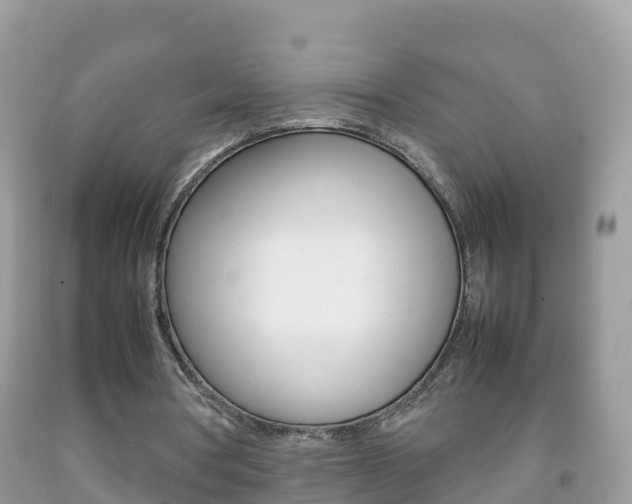 X0000092220386200709140926