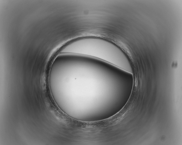 X0000092220388200709140926