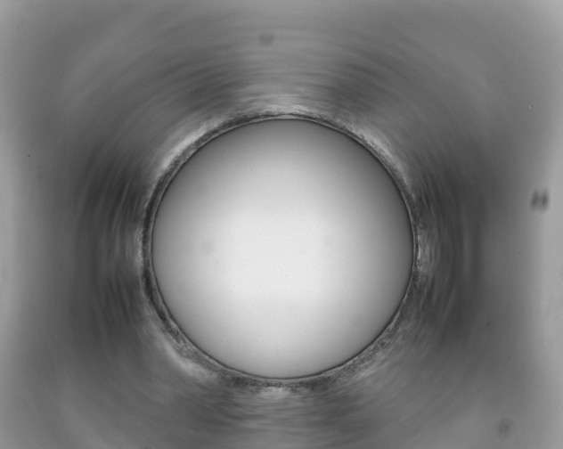 X0000092220390200709140926