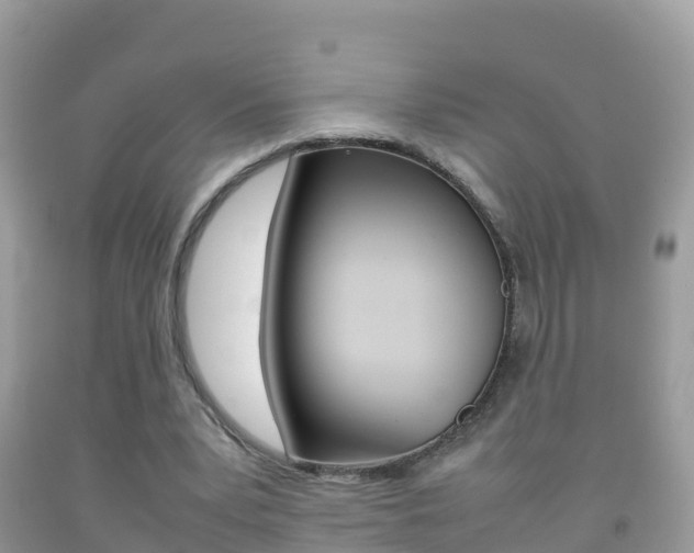 X0000092220391200709140926