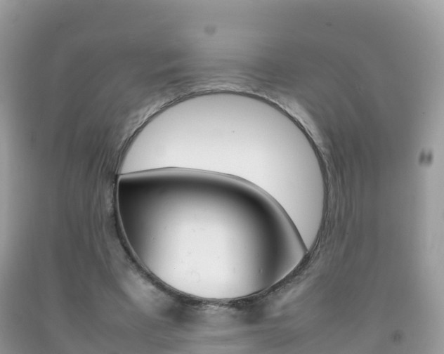 X0000092220393200709140926