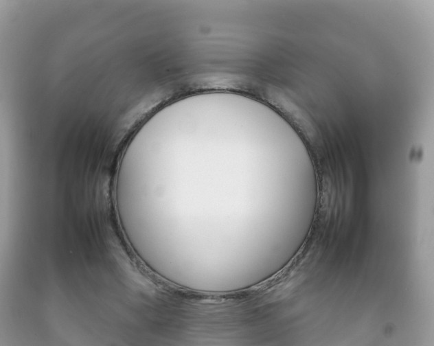 X0000092220394200709140926