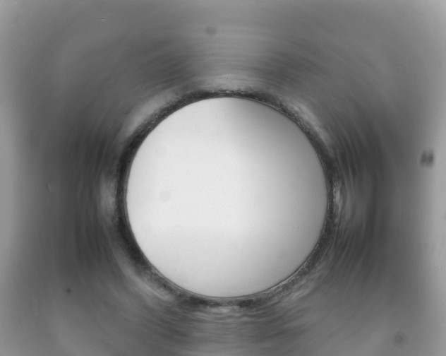 X0000092220396200709140926