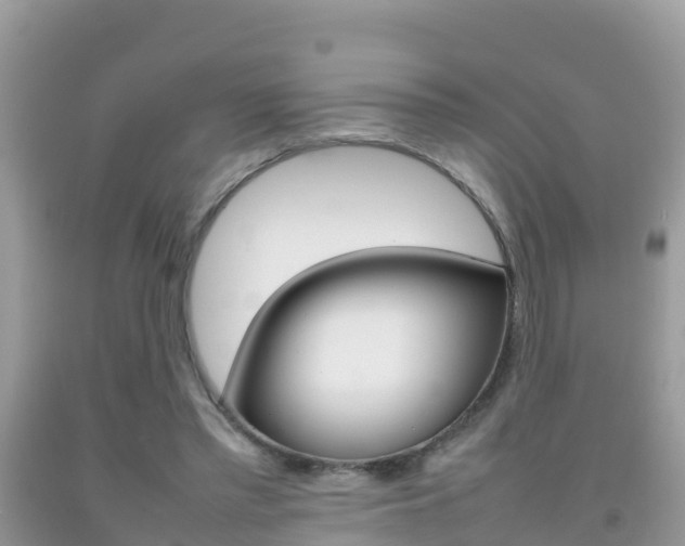 X0000092220397200709140926