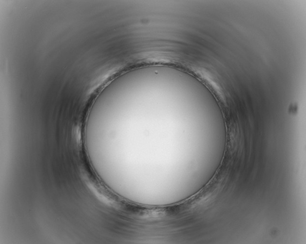 X0000092220398200709140926