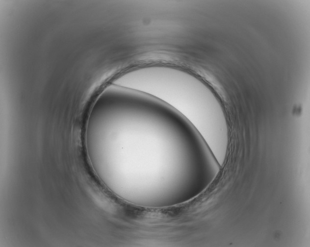 X0000092220399200709140926