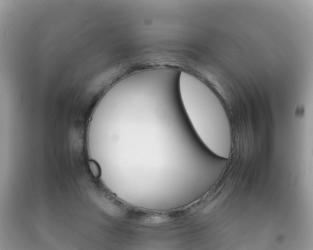 X0000092220402200709140926