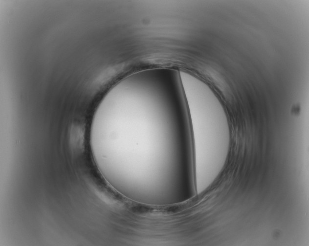 X0000092220404200709140926