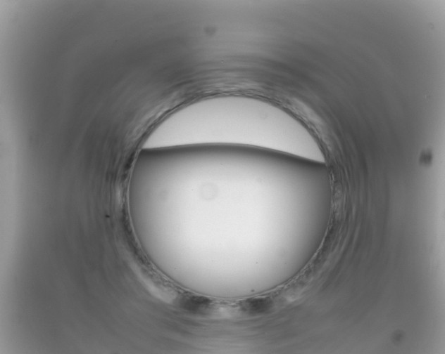 X0000092220405200709140926