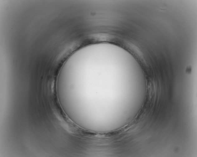 X0000092220406200709140926