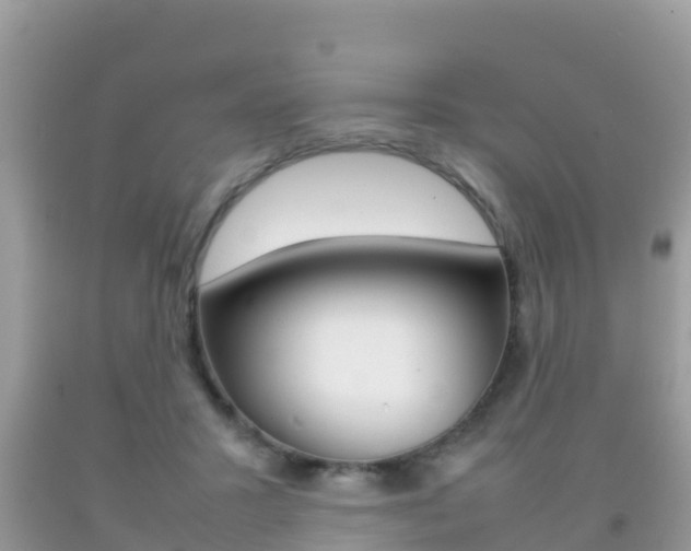 X0000092220407200709140926