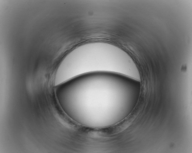 X0000092220408200709140926