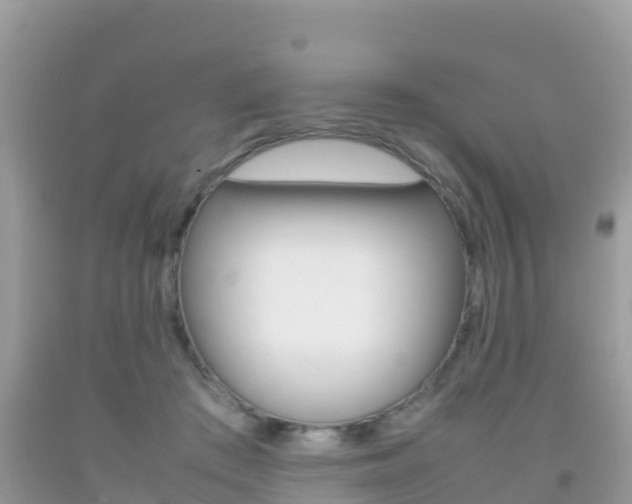 X0000092220409200709140926