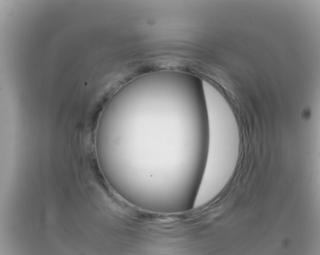 X0000092220411200709140926
