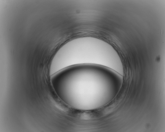 X0000092220412200709140926