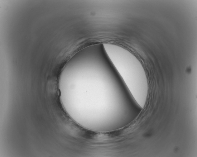 X0000092220413200709140926