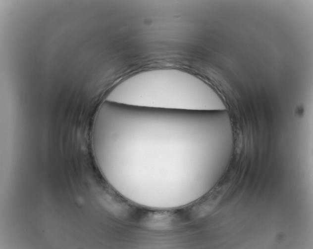 X0000092220414200709140926