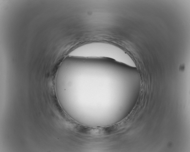 X0000092220415200709140925