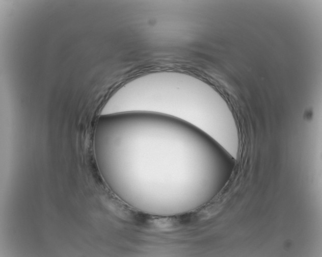 X0000092220417200709140925