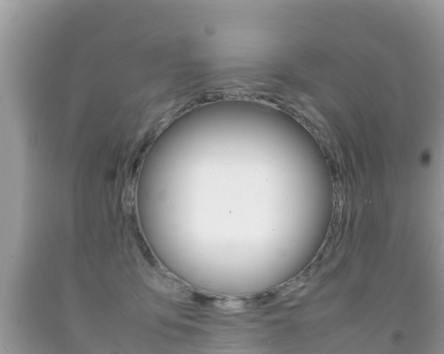X0000092220419200709140925