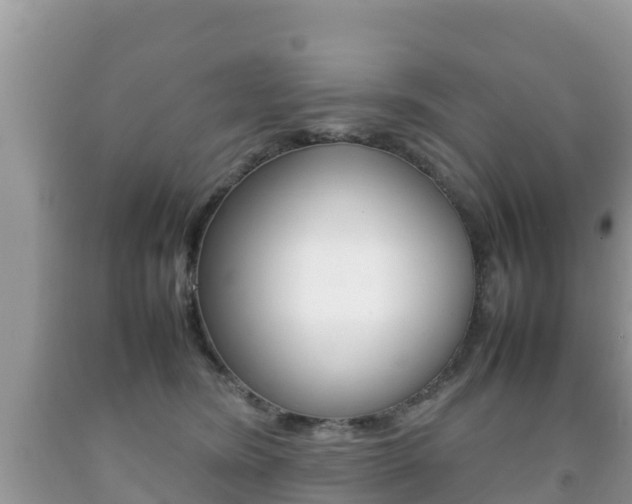 X0000092220420200709140925