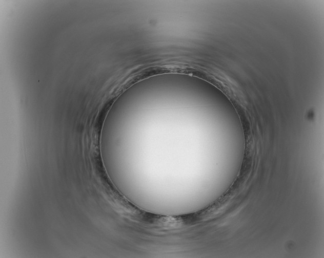 X0000092220421200709140925
