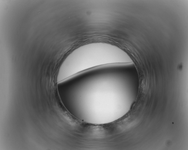 X0000092220424200709140925