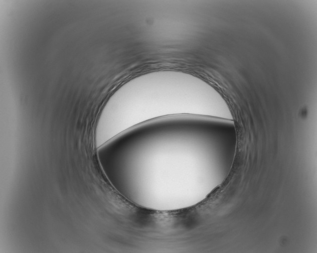 X0000092220425200709140925