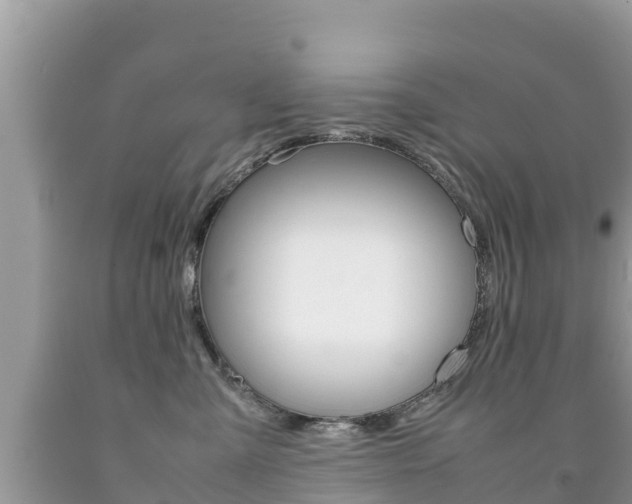 X0000092220427200709140925