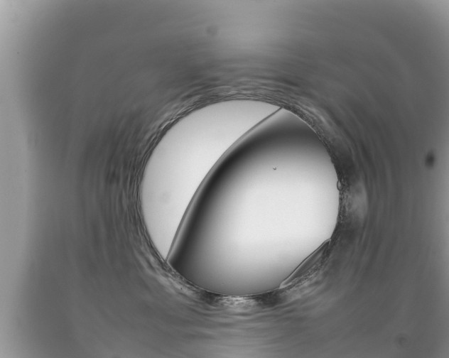 X0000092220429200709140925